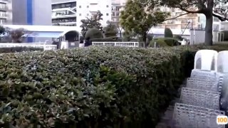 高潮百度知道🔞🔯四色异瞳猫🔞🔯泰莎 法米加 大尺度🔞🔯